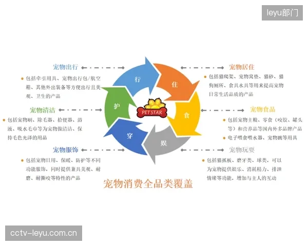 当青训体系过度聚焦于为奥运夺金服务，我们培养出的是热爱运动的下一代，还是只会比赛的“金牌机器”？